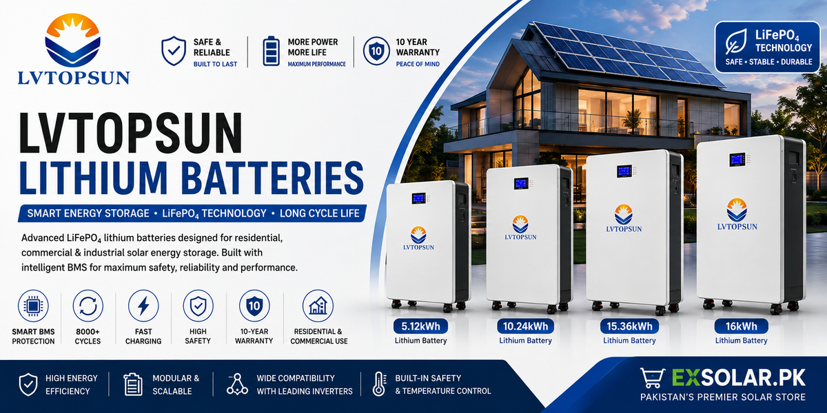 LVTOPSUN Lithium Batteries