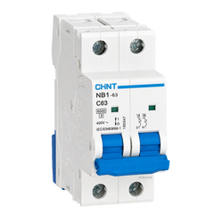 CHINT NB1-63 C63 63A 2-Pole 400V 6kA AC Miniature Circuit Breaker