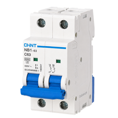 CHINT NB1-63 C63 63A 2-Pole 400V 6kA AC Miniature Circuit Breaker